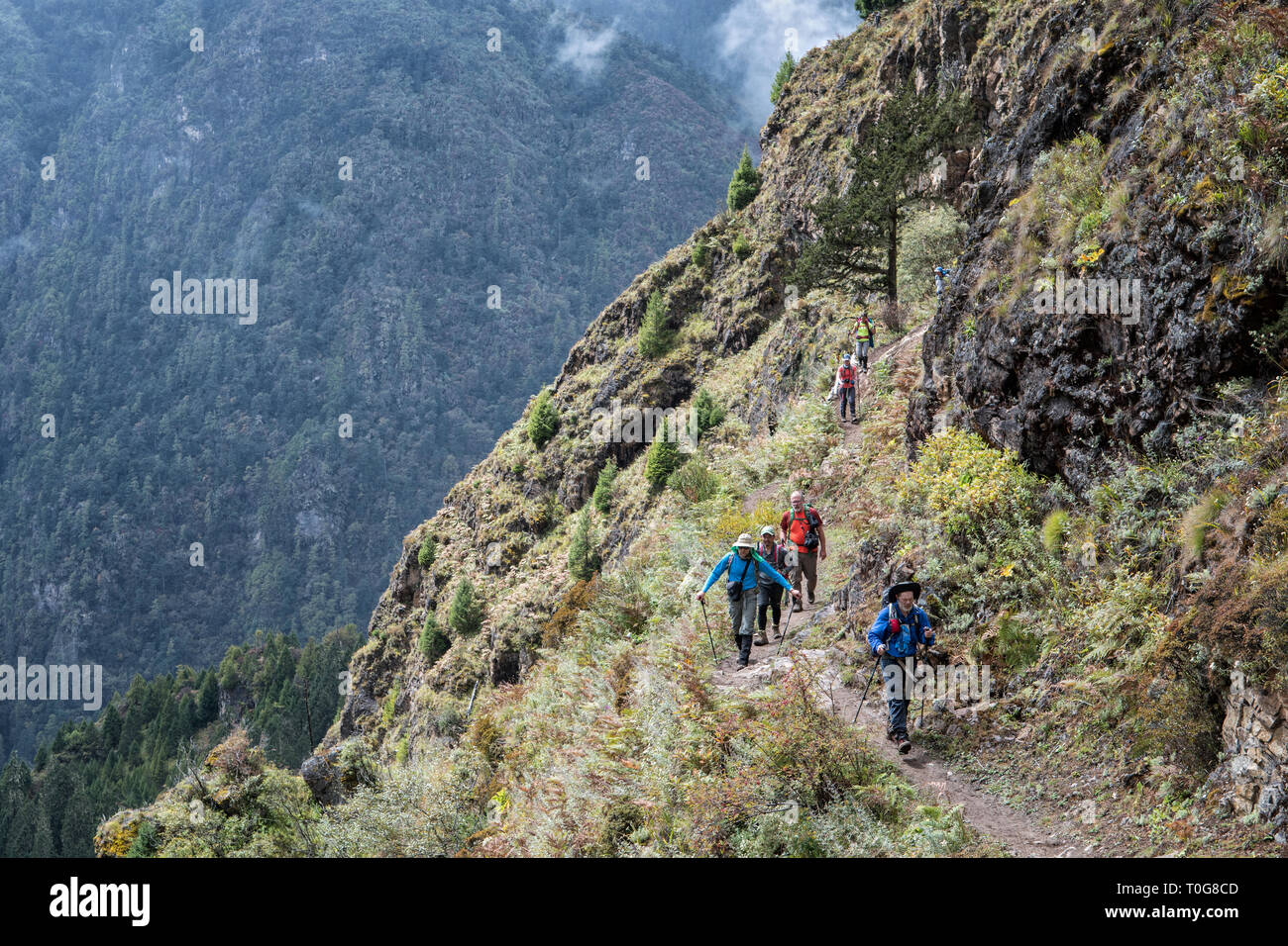 Sentiero di montagna tra Laya e Rodophu, Gasa distretto, Snowman Trek, Bhutan Foto Stock