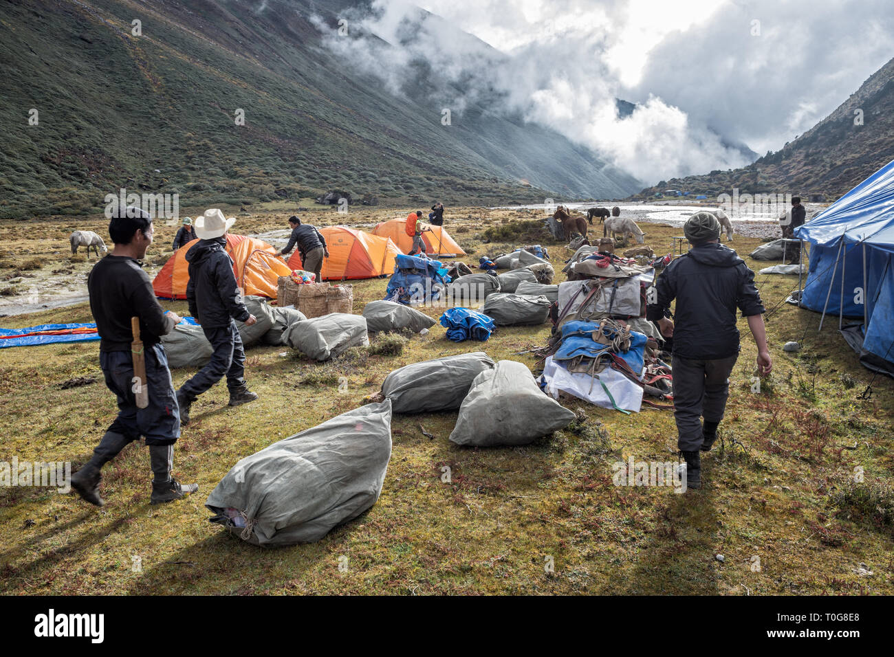 Arrivo a Rodophu camp, Gasa distretto, Snowman Trek, Bhutan Foto Stock