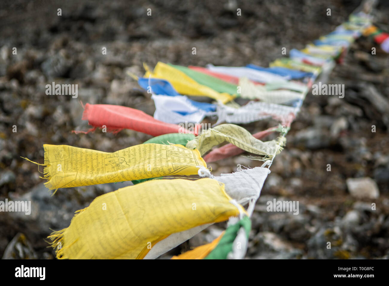 Bandiere di preghiera nel vento a Tsemo La pass, Gasa distretto, Snowman Trek, Bhutan Foto Stock