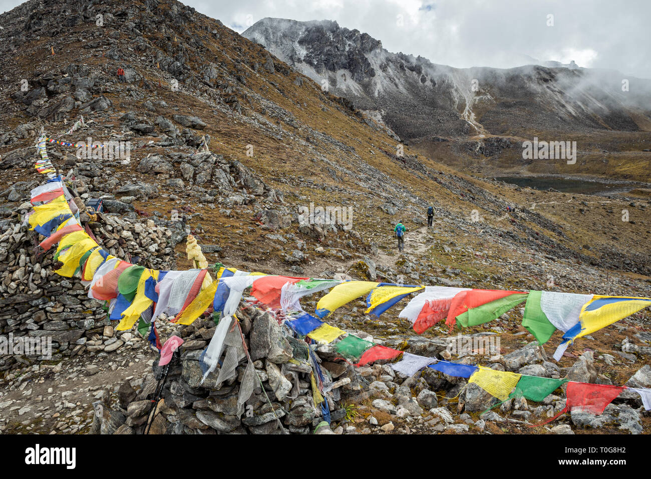 Bandiere di preghiera a Tsemo La pass, Gasa distretto, Snowman Trek, Bhutan Foto Stock