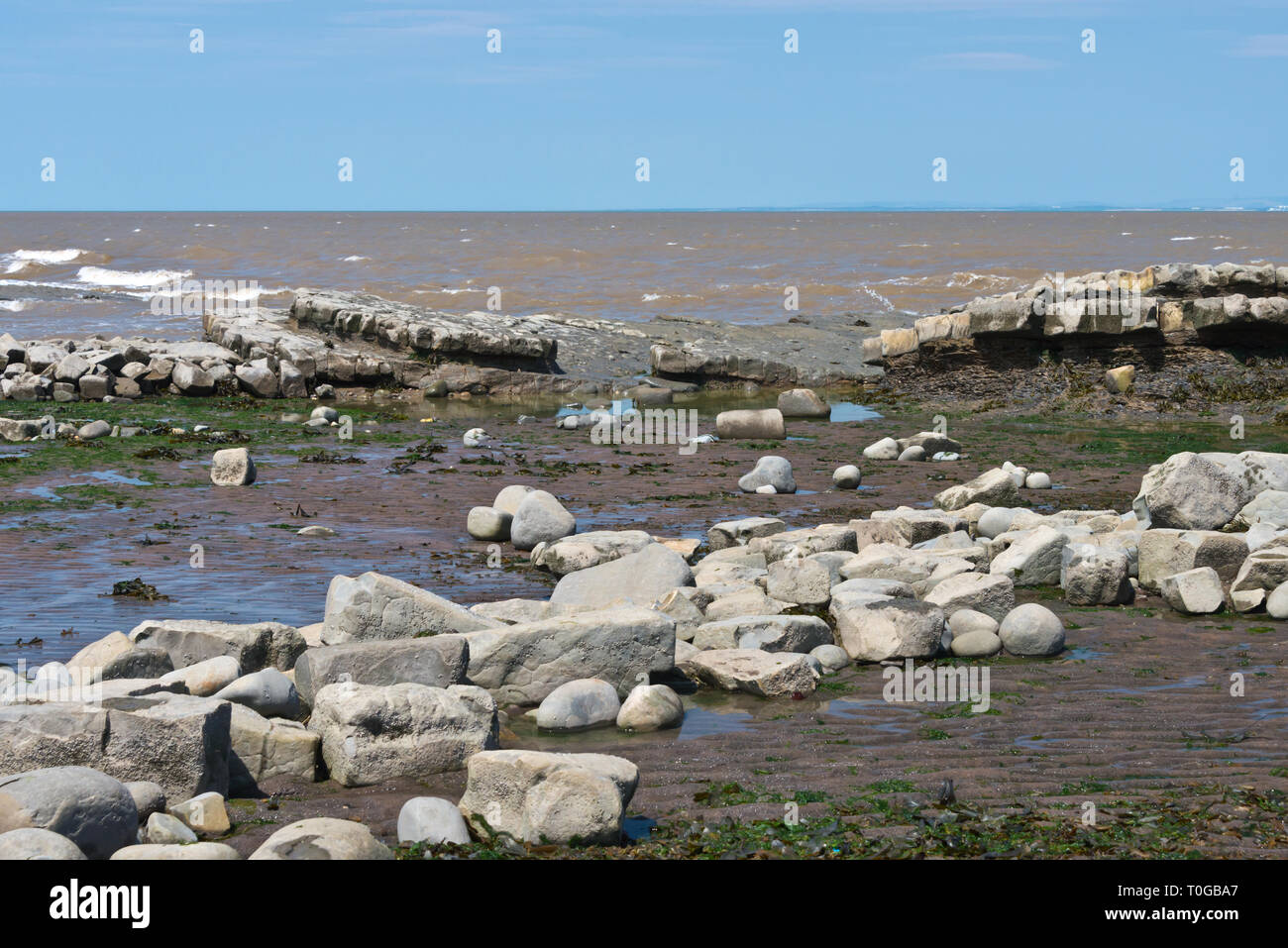 Le battute esposta e strati di roccia lungo la foreshore sul Canale di Bristol costa a Kilve nel Somerset REGNO UNITO a bassa marea Foto Stock