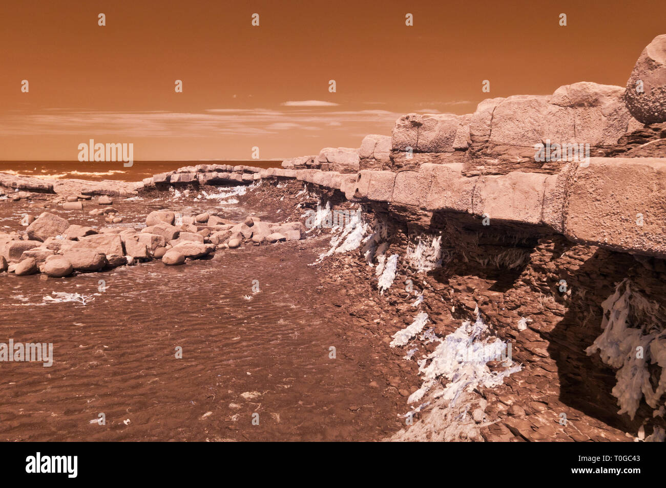 Immagini a infrarossi del esposto strati di roccia lungo la foreshore sul Canale di Bristol costa a Kilve nel Somerset REGNO UNITO a bassa marea Foto Stock