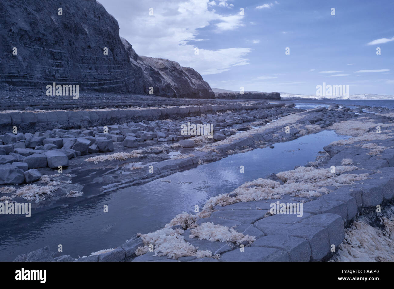 Immagini a infrarossi del esposto strati di roccia lungo la foreshore sul Canale di Bristol costa a Kilve nel Somerset REGNO UNITO a bassa marea Foto Stock