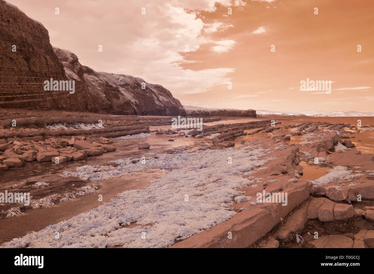 Immagini a infrarossi del esposto strati di roccia lungo la foreshore sul Canale di Bristol costa a Kilve nel Somerset REGNO UNITO a bassa marea Foto Stock