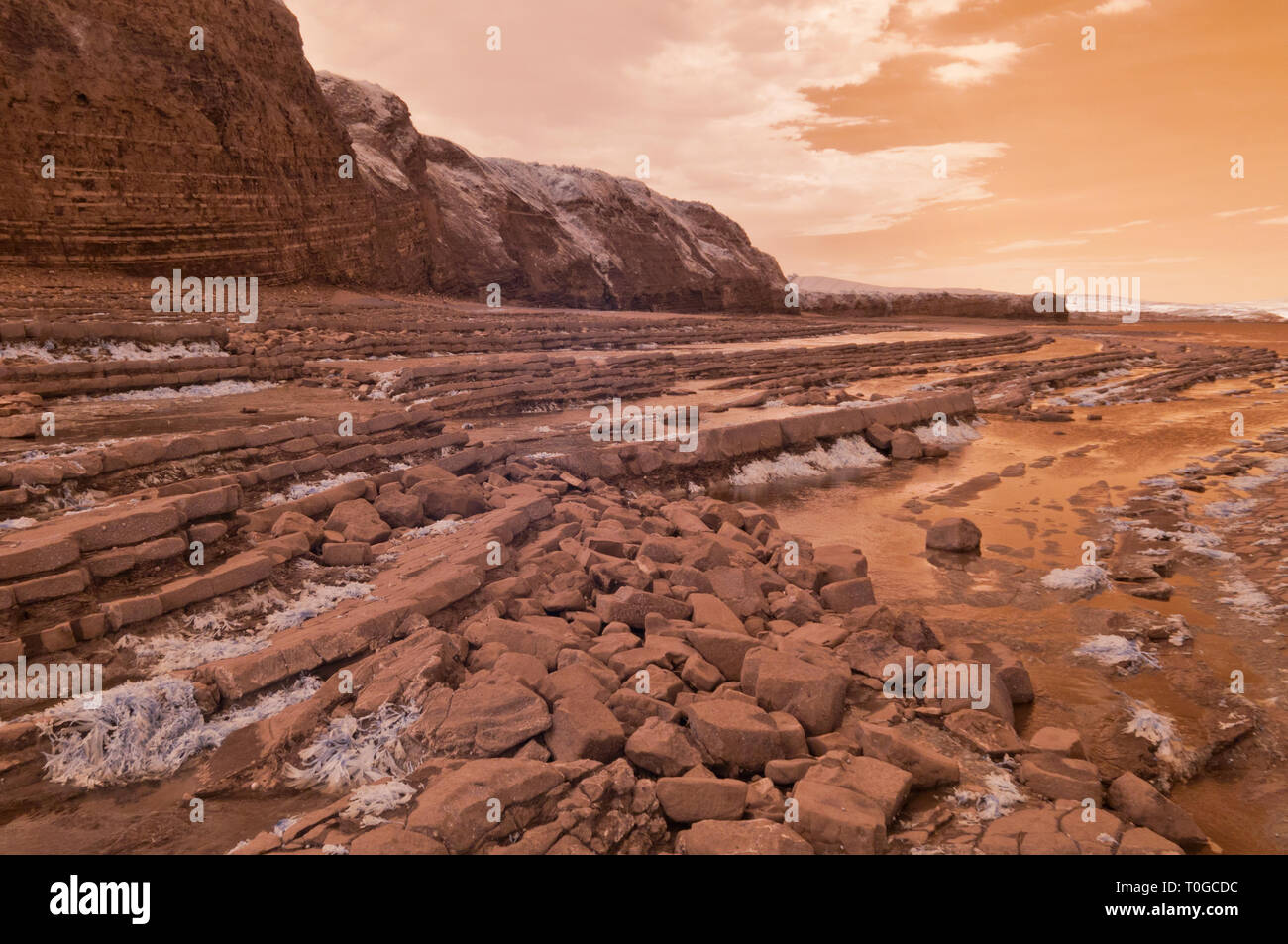 Immagini a infrarossi del esposto strati di roccia lungo la foreshore sul Canale di Bristol costa a Kilve nel Somerset REGNO UNITO a bassa marea Foto Stock