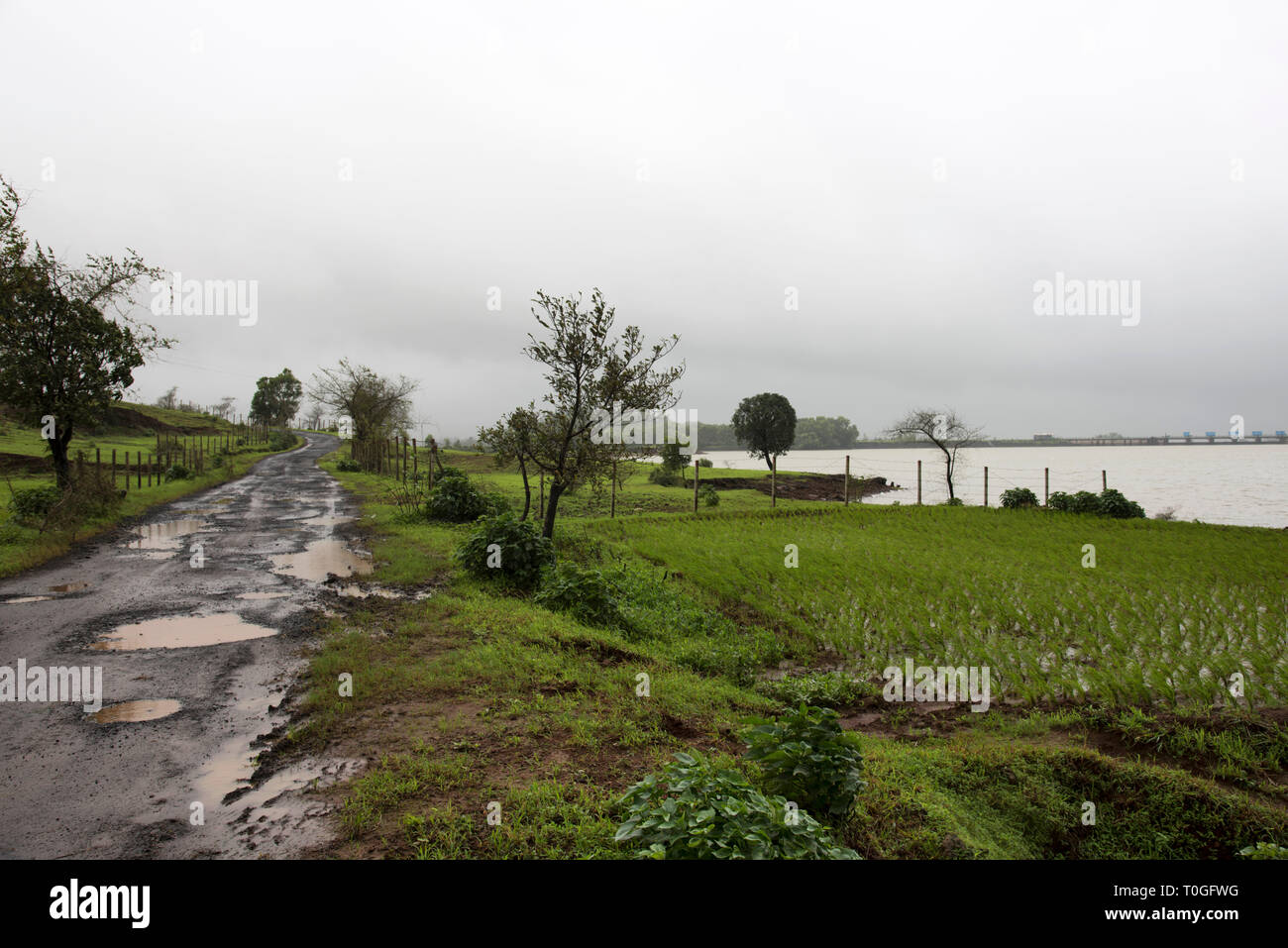 Strada del villaggio con buche nella stagione delle piogge. Foto Stock