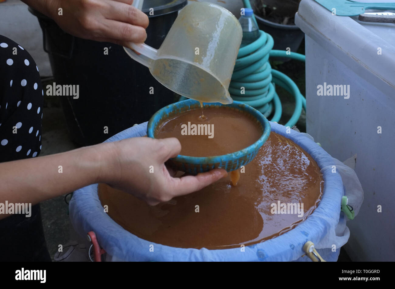 La spremitura di tamarindo ingredienti acqua di processo per la fabbricazione di una tintura indaco , tailandese natura dye Foto Stock