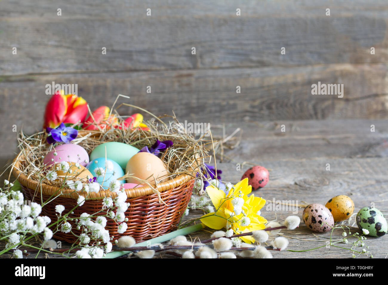 Pasqua uova colorate nel nido con fiori su vintage di tavole di legno e lo spazio vuoto Foto Stock