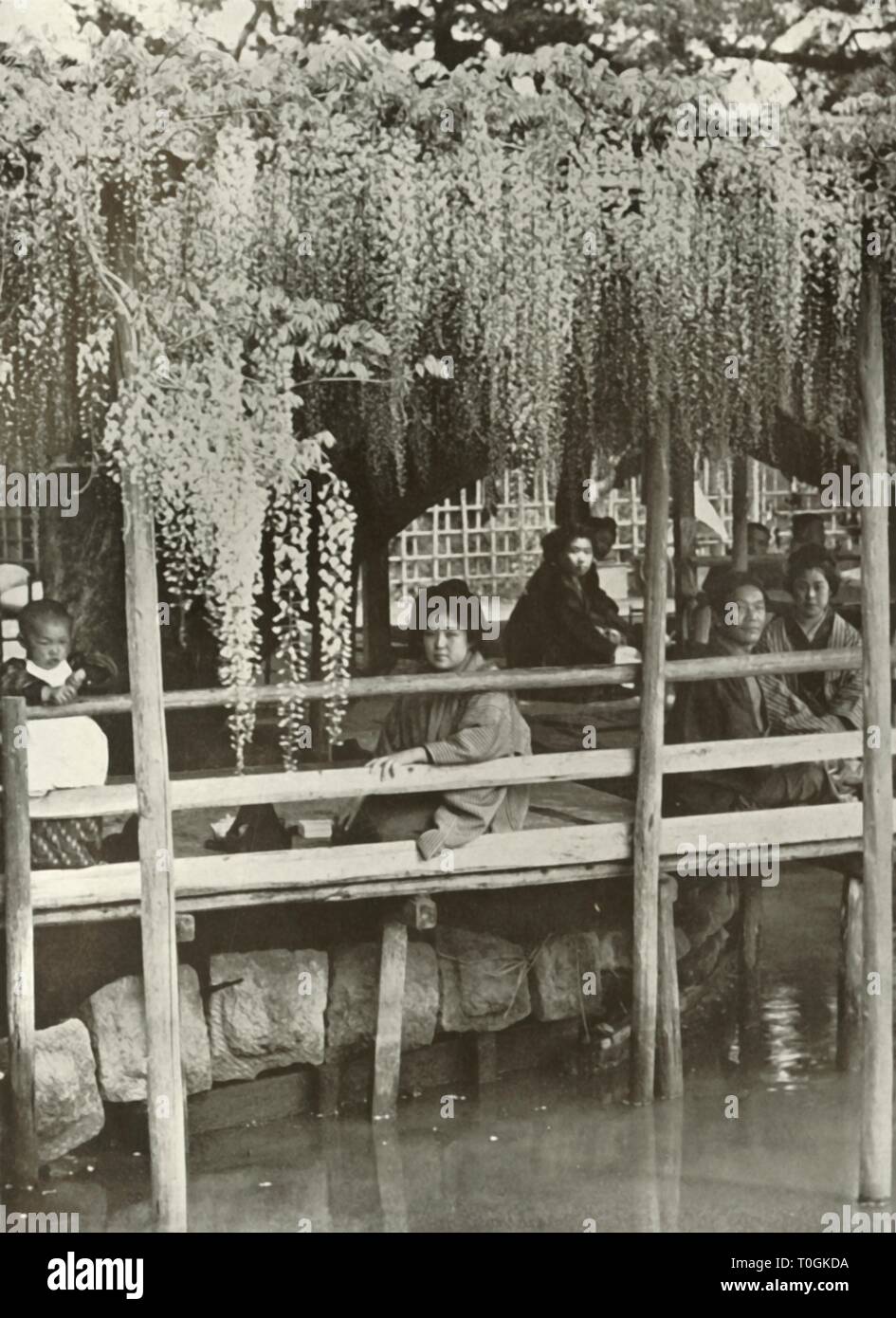 'Un pergolato di glicine a Kameido', 1910. Creatore: Herbert ponting. Foto Stock