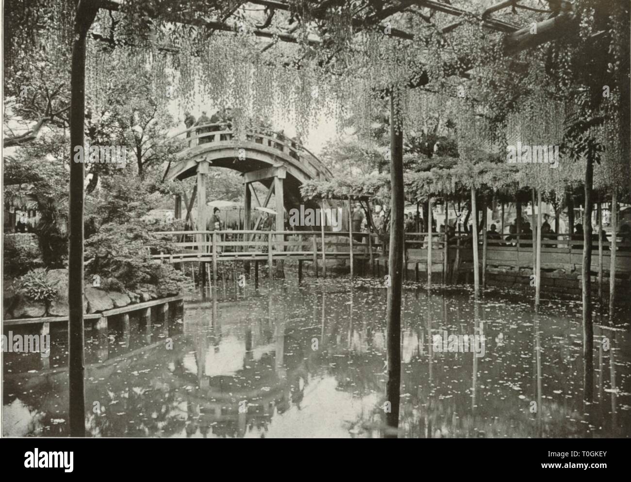 "Kameido', 1910. Creatore: Herbert ponting. Foto Stock