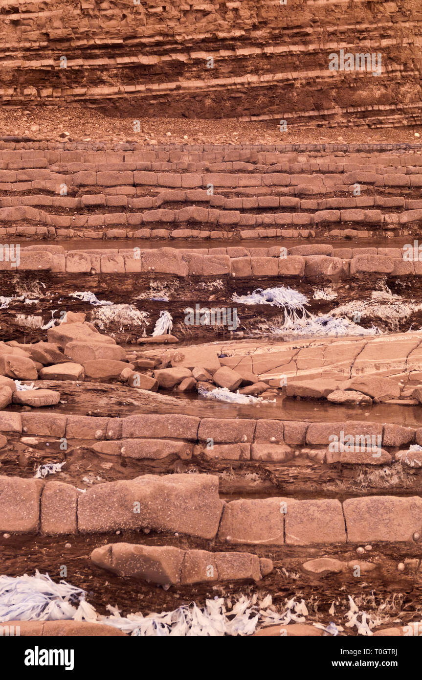 Immagini a infrarossi del esposto strati di roccia lungo la foreshore sul Canale di Bristol costa a Kilve nel Somerset REGNO UNITO a bassa marea Foto Stock