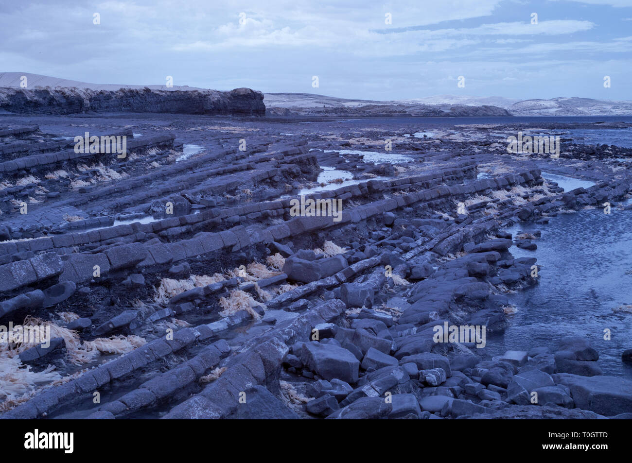 Immagini a infrarossi del esposto strati di roccia lungo la foreshore sul Canale di Bristol costa a Kilve nel Somerset REGNO UNITO a bassa marea Foto Stock