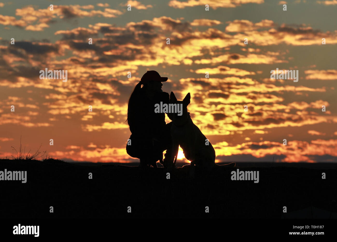 Silhouette di una ragazza e cani contro lo sfondo di un incredibile tramonto Cielo e nubi. Pastore belga Malinois Foto Stock