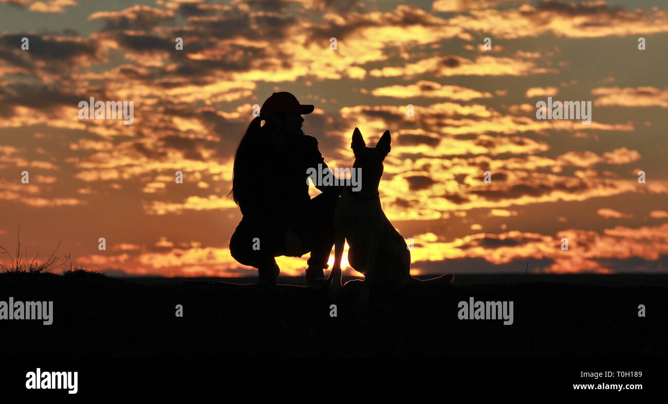 Silhouette di una ragazza e cani contro lo sfondo di un incredibile tramonto Cielo e nubi. Pastore belga Malinois Foto Stock