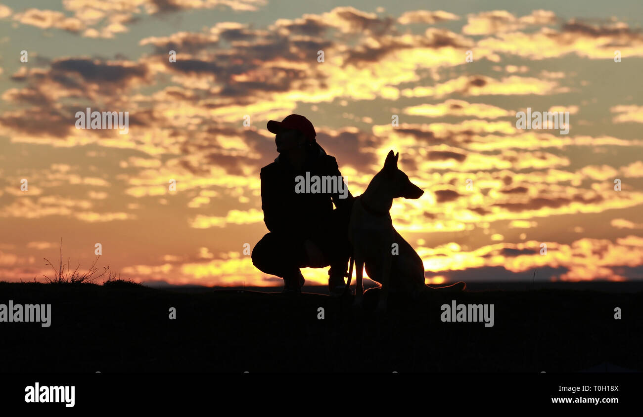 Silhouette di una ragazza e cani contro lo sfondo di un incredibile tramonto Cielo e nubi. Pastore belga Malinois Foto Stock