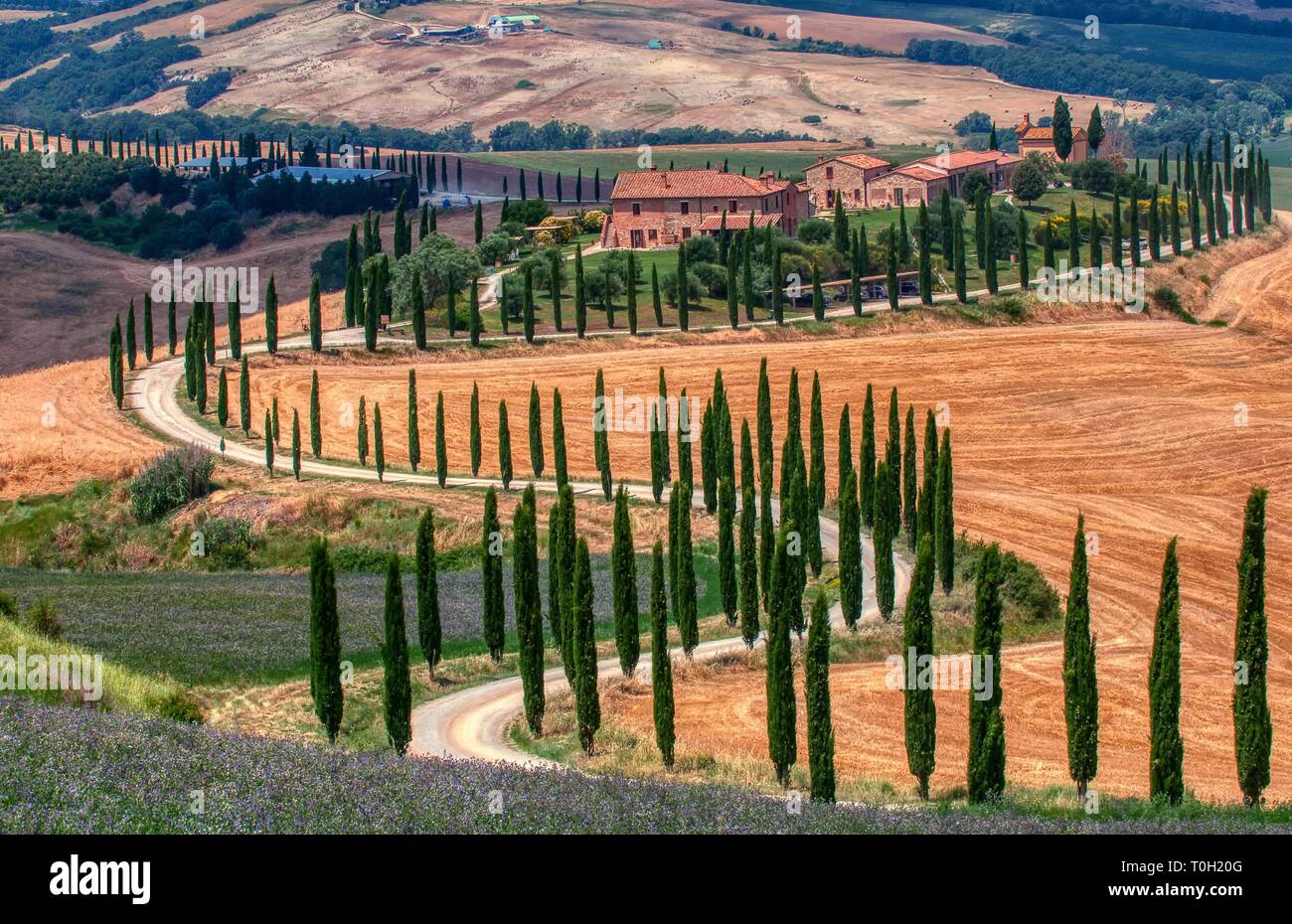 Toscana, Italia - Luglio 5, 2018: cipressi e prato con tipica casa toscana, Val d'Orcia, Italia - Toscana Foto Stock