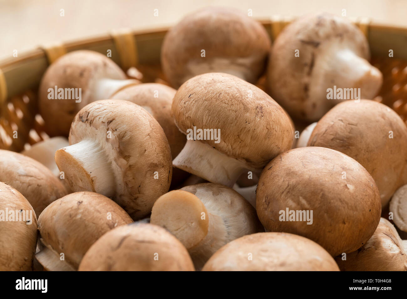 Cestello con crudo fresco funghi castagne close up Foto Stock