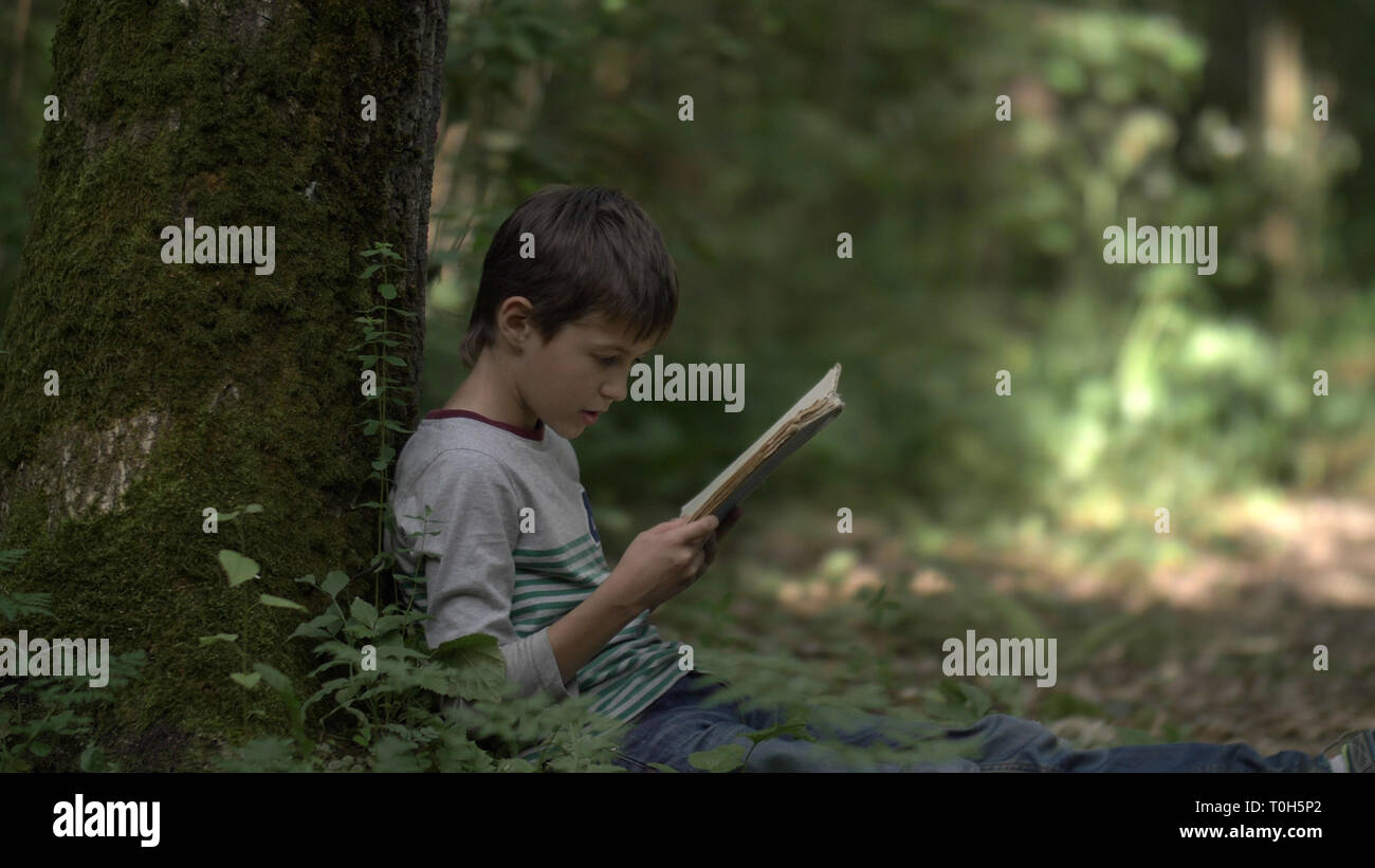 Il ragazzo si siede vicino a un albero nella foresta e legge un libro Foto Stock