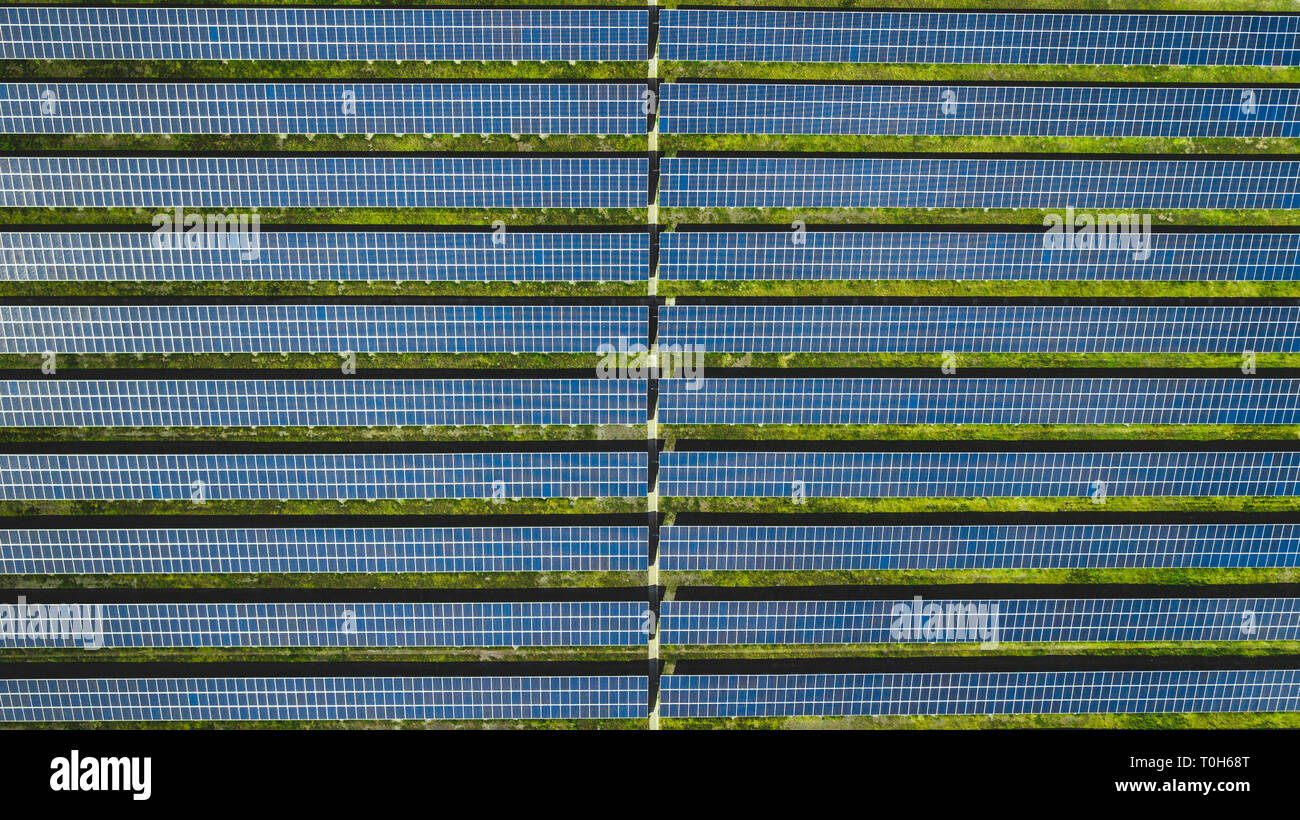 Vista dall'alto in basso di pannelli solari su una fattoria di energia nell'isola di Madeira, Portogallo Foto Stock