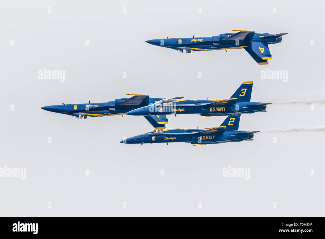 Blue Angels prestazioni a 2018 Wings Over Houston Air Show in Houston, Texas. In primo piano gli articoli inclusi Blue Angels e aviazione altri programmi correlati Foto Stock