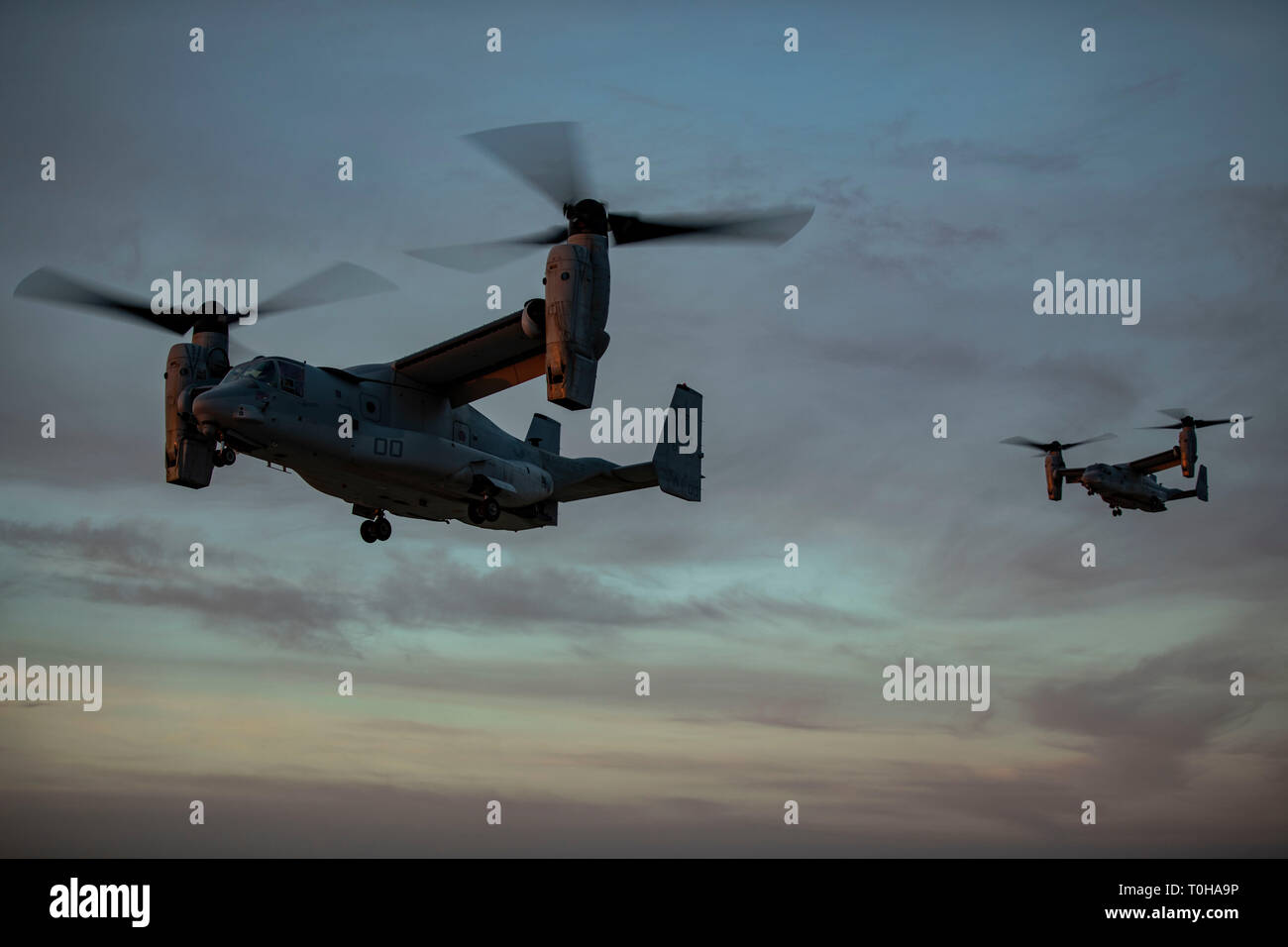 Stati Uniti Marines con Marine mezzo squadrone Tiltrotor 165 utilizzare MV-22B Asprì alla marcia di trasferimento da marines con armi Company, 3° Battaglione, 4 Marines, attaccato a scopo speciale Air-Ground Marine Task Force Response-Central crisi comando, nel sud-ovest Asia, 10 marzo 2019. SPMAGTF-CR-CC è specificamente progettato per essere in grado di dispiegare aviation, massa e forze di logistica in avanti con un preavviso di pochi istanti. Regno gli sforzi internazionali contro Daesh impedirà la sua capacità di assumere, treno, equipaggiare, finanza, piano, ispirare e condurre estremista violento atti, a livello regionale e a livello globale. (U.S. M Foto Stock