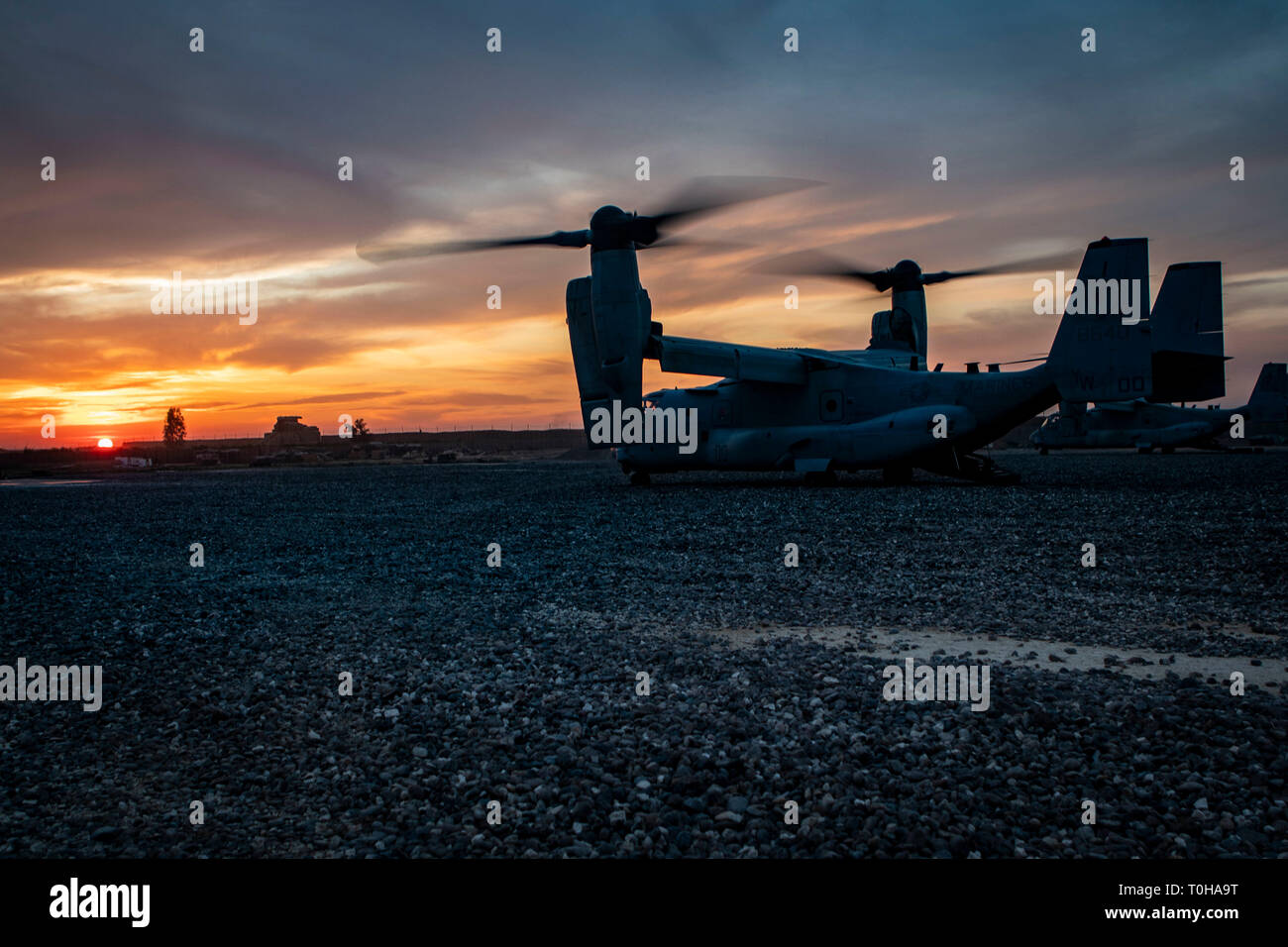 Stati Uniti Marines con Marine mezzo squadrone Tiltrotor 165 utilizzare MV-22B Asprì alla marcia di trasferimento da marines con armi Company, 3° Battaglione, 4 Marines, attaccato a scopo speciale Air-Ground Marine Task Force Response-Central crisi comando, nel sud-ovest Asia, 10 marzo 2019. SPMAGTF-CR-CC è specificamente progettato per essere in grado di dispiegare aviation, massa e forze di logistica in avanti con un preavviso di pochi istanti. Regno gli sforzi internazionali contro Daesh impedirà la sua capacità di assumere, treno, equipaggiare, finanza, piano, ispirare e condurre estremista violento atti, a livello regionale e a livello globale. (U.S. M Foto Stock