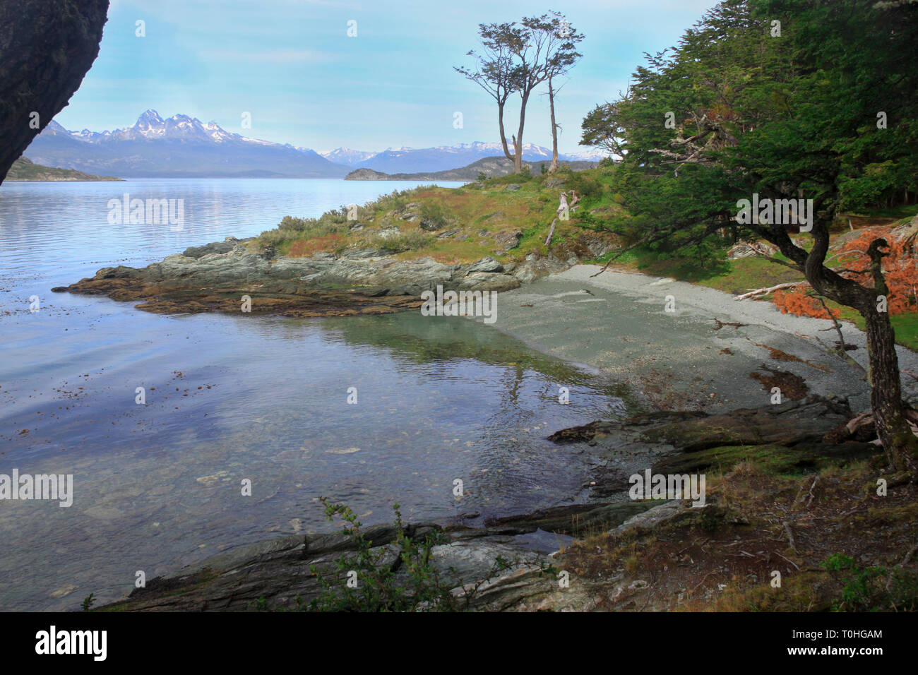 Vista della Baia di Lapataia in Tierra del Fuego National Park, Argentina. Foto Stock