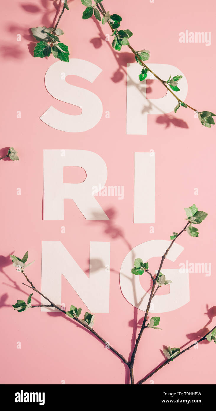 Layout creativi con iscrizione molla e rami fioriti su sfondo color pastello. Miminimalism Foto Stock
