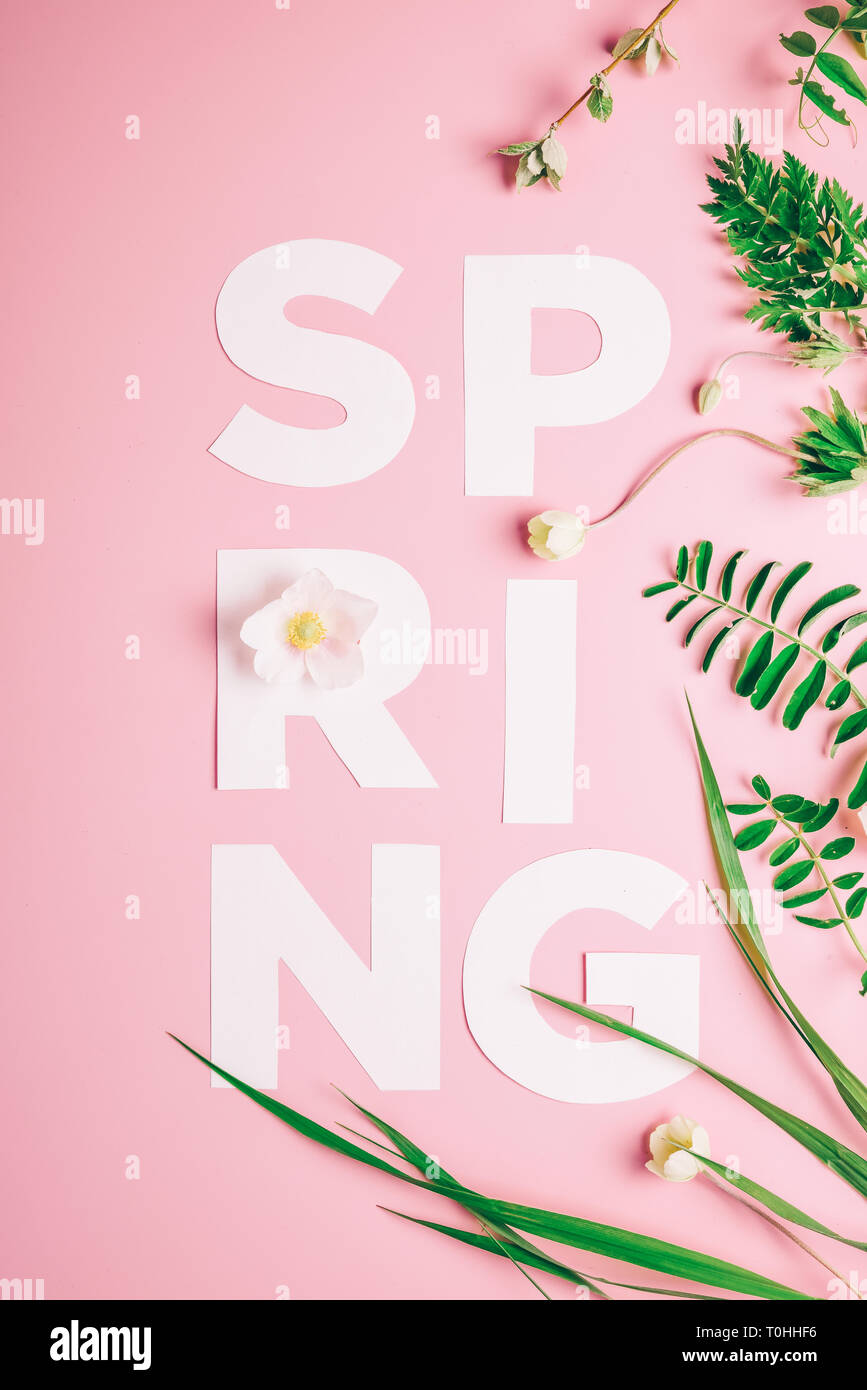 Layout creativi con iscrizione fiori di primavera e foglie su un sfondo rosa. Piatto minimalismo dei laici Foto Stock