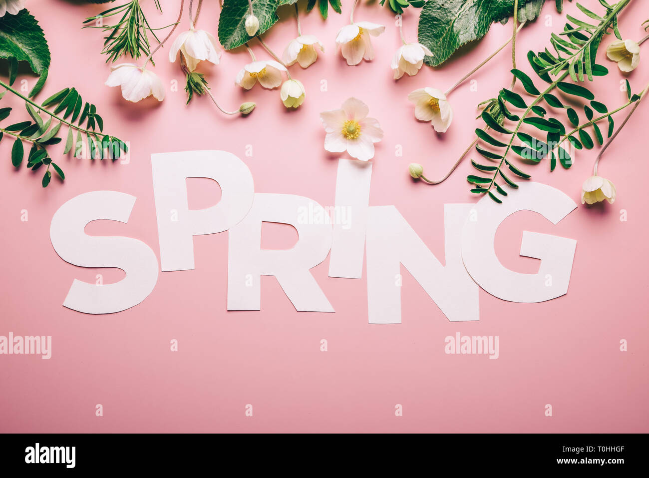 Layout creativi con iscrizione fiori di primavera e foglie su un sfondo rosa. Piatto minimalismo dei laici Foto Stock