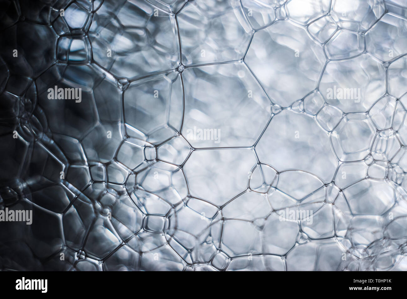 Macro Close-up di molte bolle di sapone in acqua come sfondo Foto Stock