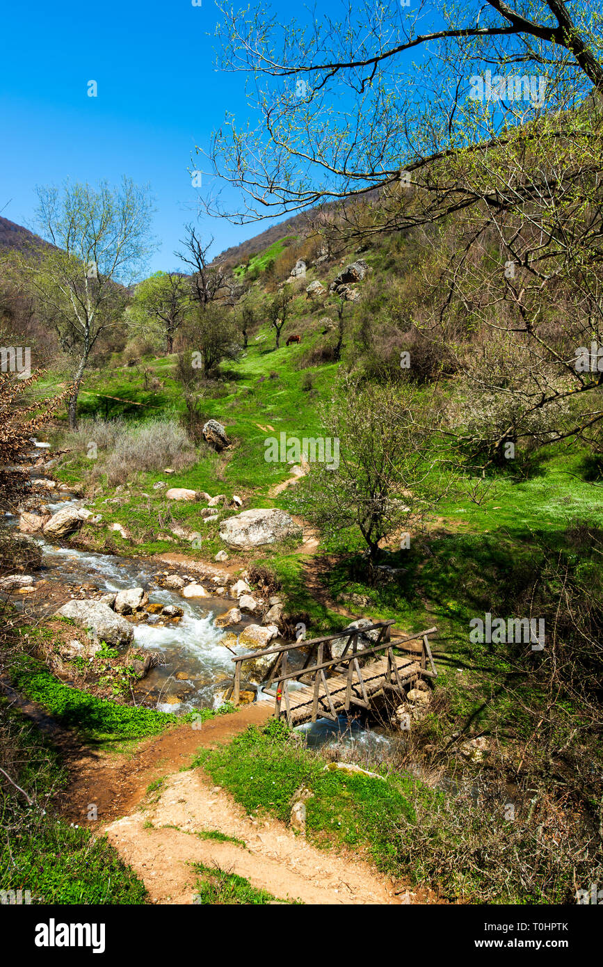 Scenic piccolo fiume e paesaggio naturale in primavera in una giornata di sole Foto Stock