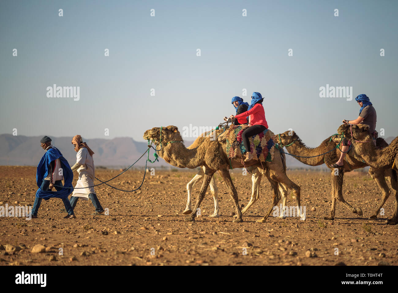 Camel caravan con i turisti che passano attraverso il deserto del Sahara Foto Stock