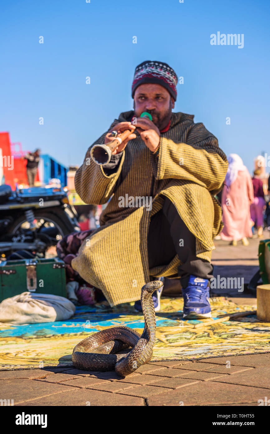 Il serpente incantatore la riproduzione di musica, Marrakech, Marocco Foto Stock