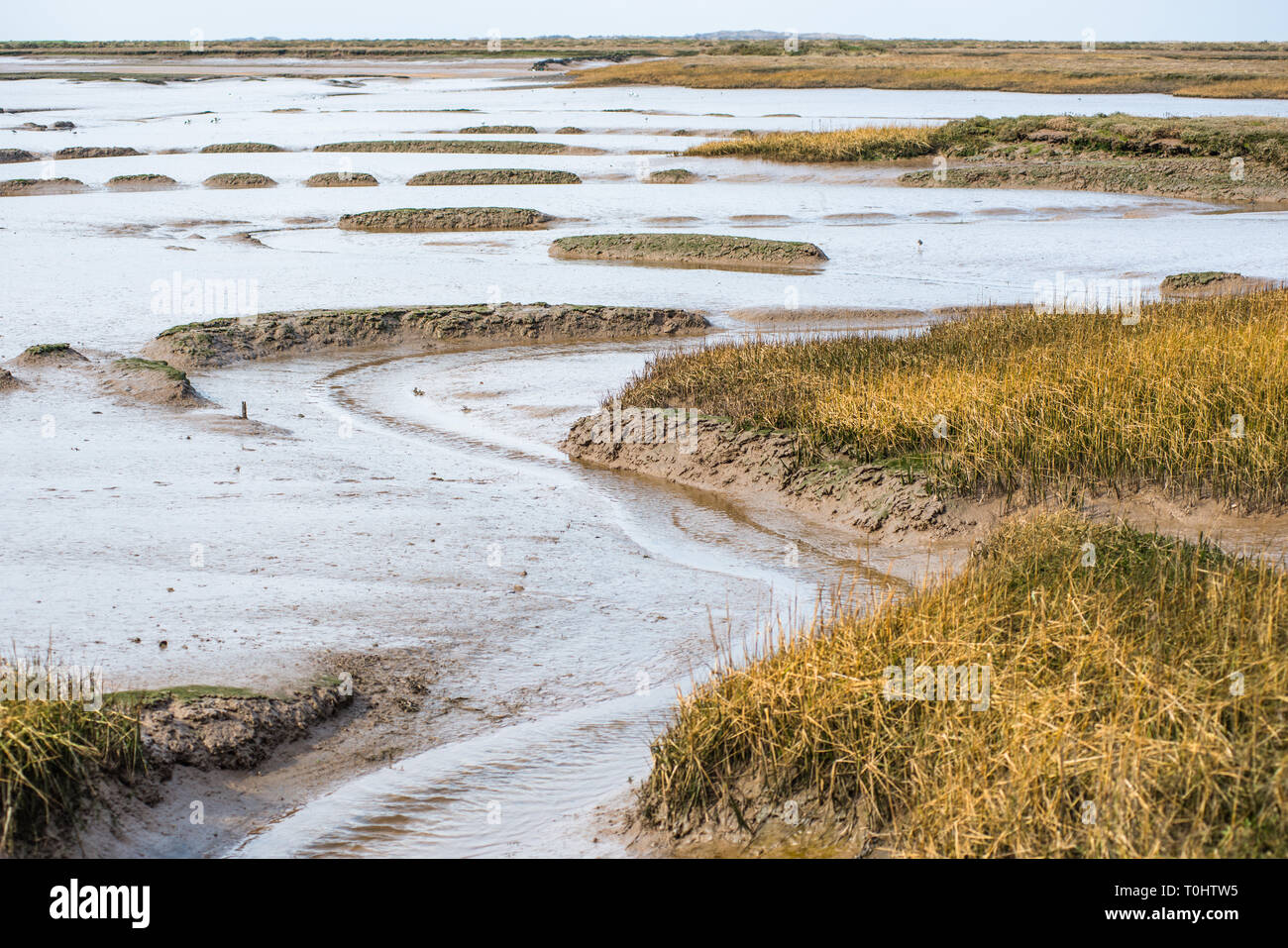 Vista di mudflats durante la bassa marea dal percorso nazionale Norfolk Coast Trail vicino Burnham Overy Staithe, East Anglia, Inghilterra, Regno Unito. Foto Stock