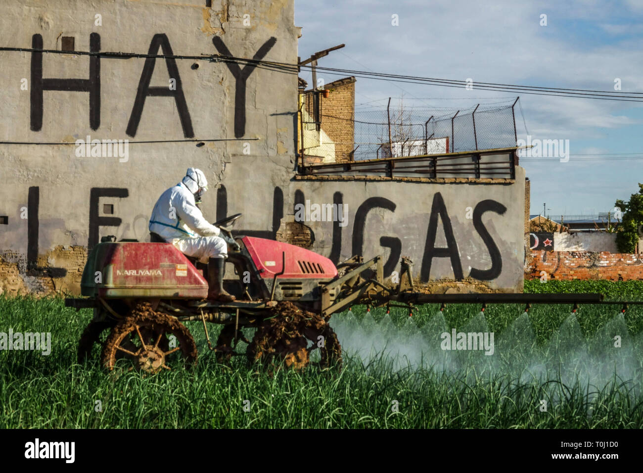 Un agricoltore in tuta protettiva applica uno spray chimico al campo di cipolla, Valencia Spagna macchine agricole Foto Stock