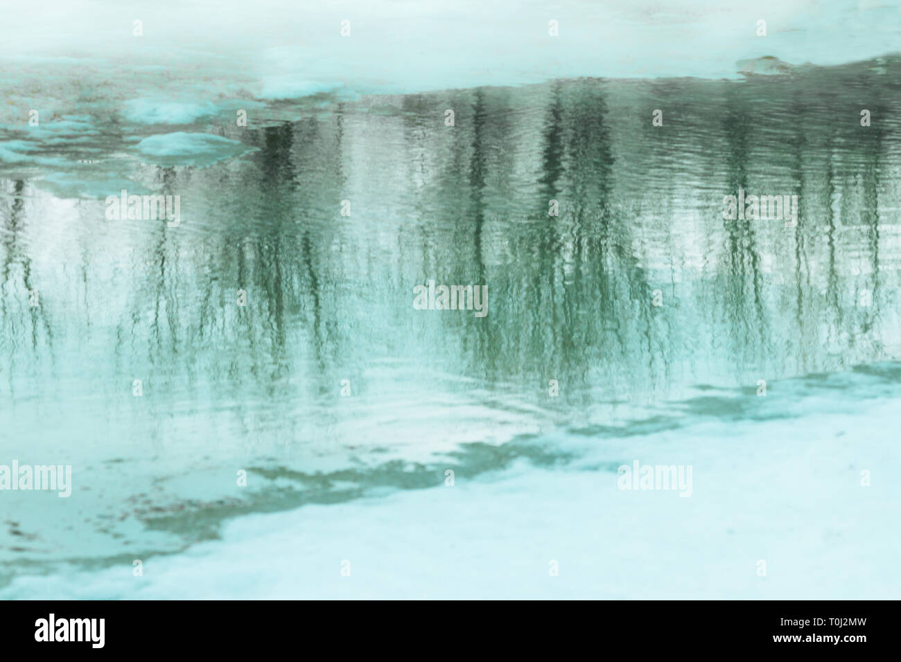 Paesaggio invernale riflette in teh acqua. Riflessi di alberi, acqua e ghiaccio. Colori soft . Immagine pacifica con texture naturali e modelli Foto Stock