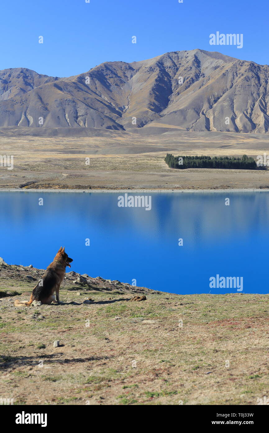 Lago Tekapo dal Monte Giovanni, Mackenzie Country, Canterbury, Nuova Zelanda Foto Stock