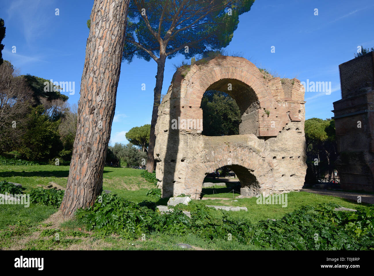 Rovine dell'Aqua Claudia antico acquedotto romano o di Nerone (Acquedotto Arcus nerioniani) sul Colle Palatino o giardini Palatino Roma Italia Foto Stock