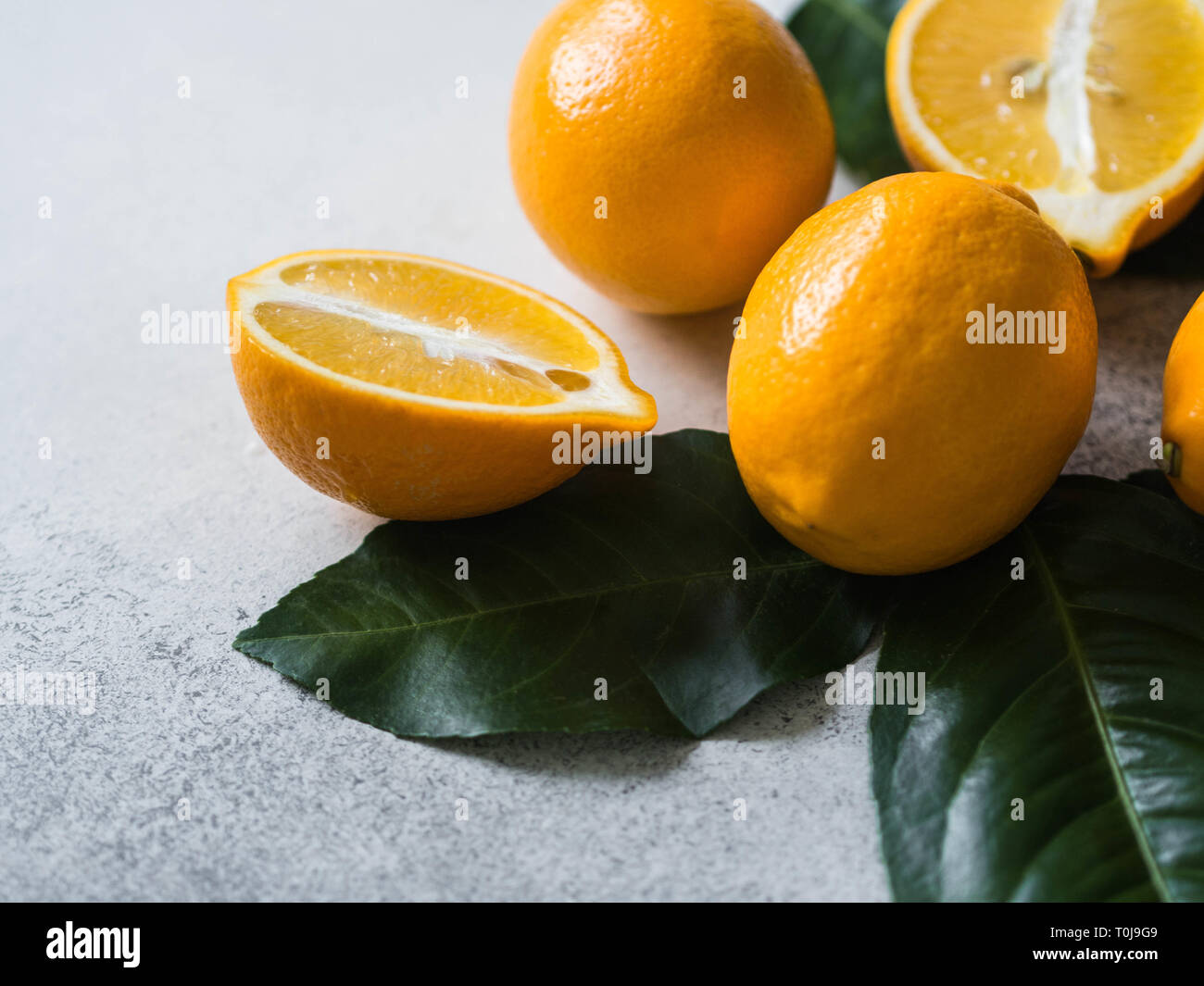 Orange meyeri limoni con foglie verdi in un gruppo su sfondo grigio. Foto Stock