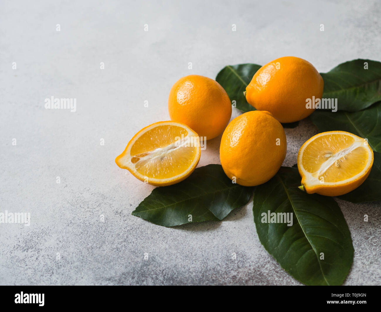 Orange meyeri limoni con foglie verdi in un gruppo su sfondo grigio. Foto Stock