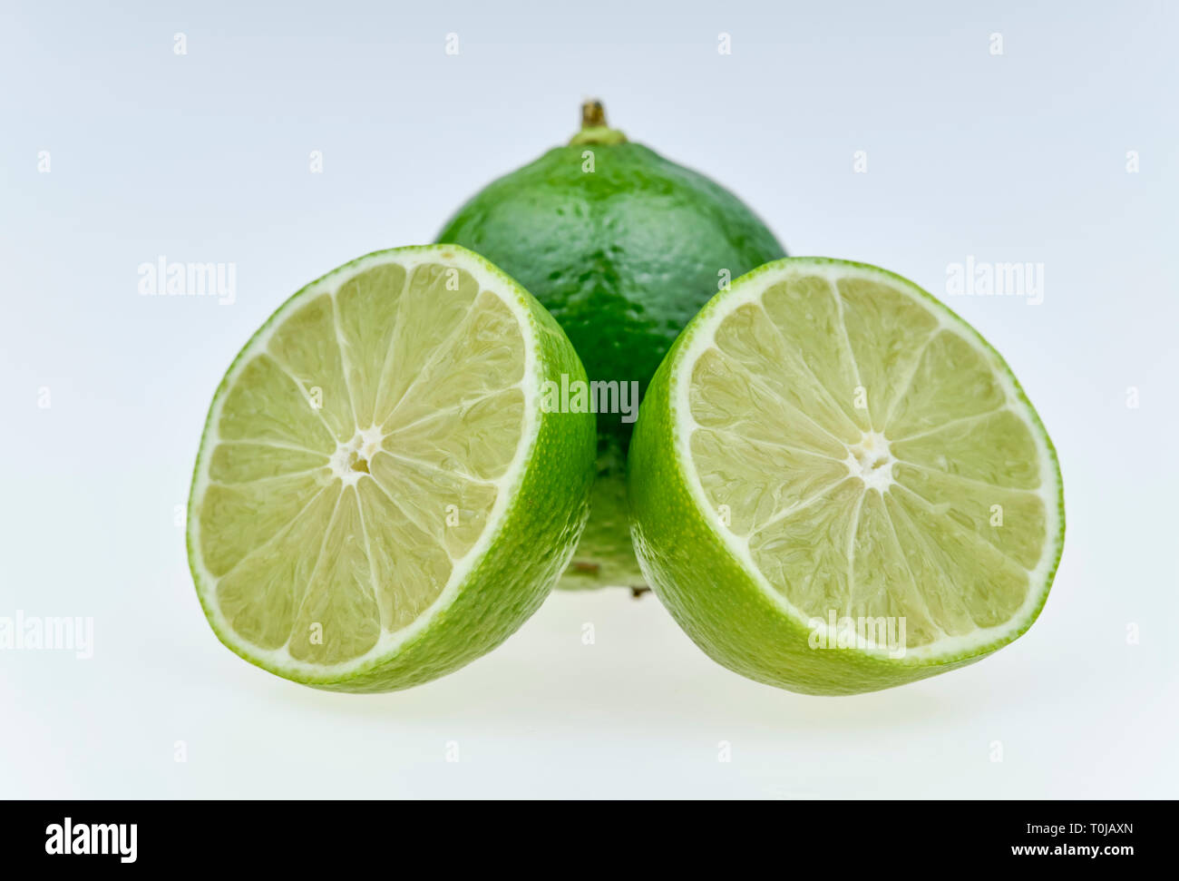 Limes, studio di ammissione, Limetten, Studioaufnahme Foto Stock