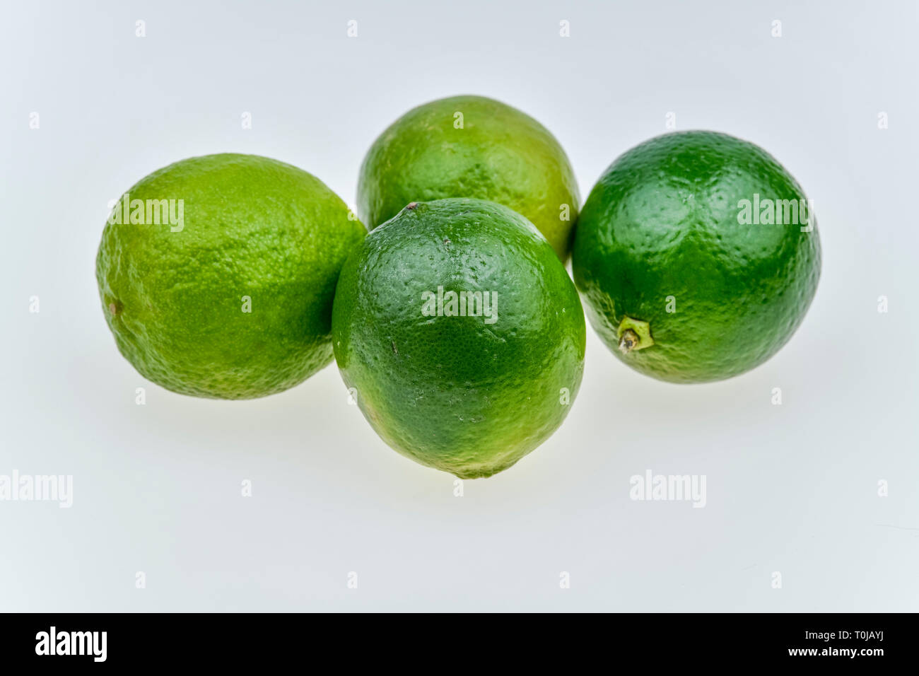 Limes, studio di ammissione, Limetten, Studioaufnahme Foto Stock