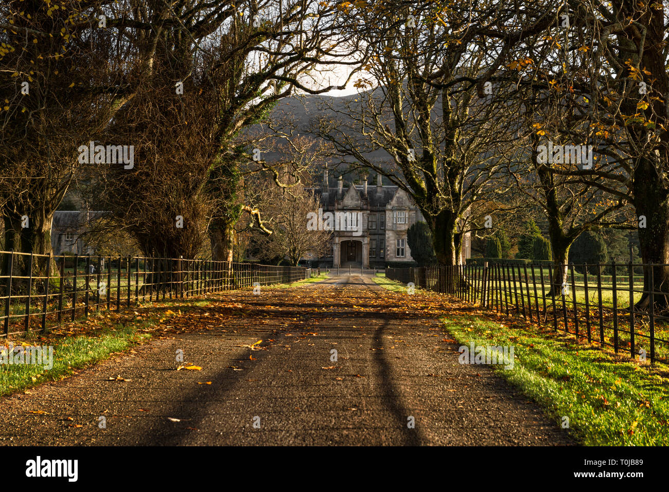 Dal vicolo del parco alla Muckross House come punto di riferimento del patrimonio irlandese nel Parco Nazionale di Killarney, County Kerry, Irlanda Foto Stock