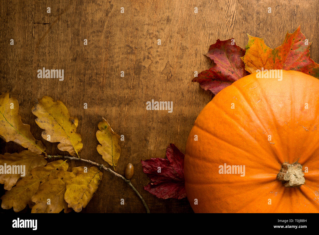 Zucca e foglie d'autunno su tavola di legno Foto Stock