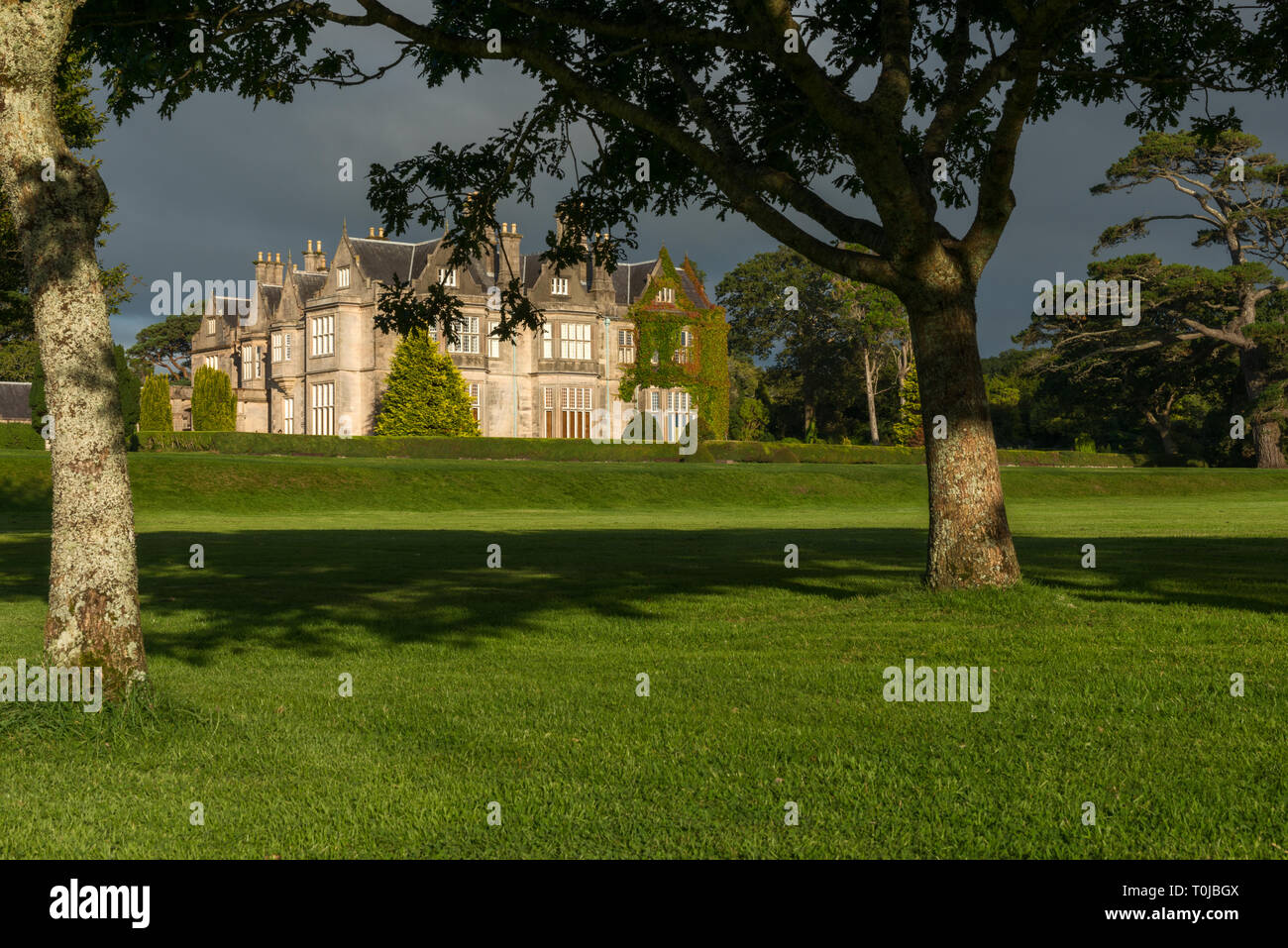 Muckross House Estate edificio come visto attraverso gli alberi nel Parco Nazionale di Killarney, County Kerry, Irlanda Foto Stock