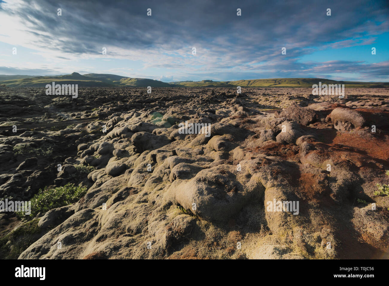 Campo di lava e rocce laviche coperte di muschio, panorama Foto Stock