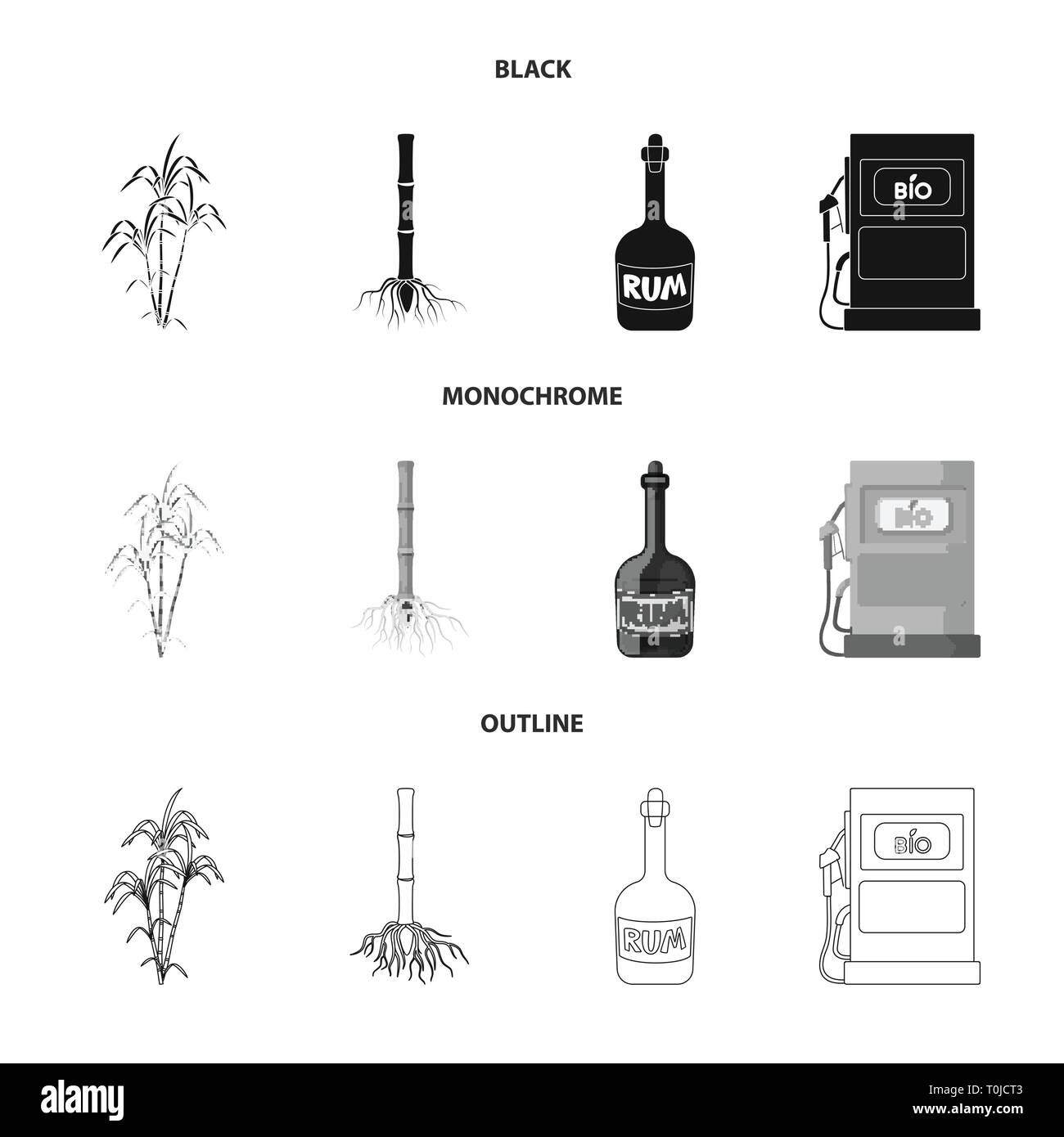 Bush,root,rum,benzina,palm,sistema,bottiglia,l'ugello,crescita,stelo,alcol,il carburante,ramo,germoglio,vetro,bio,succhi di frutta,metropolitana,bung,l'olio,foglie,eco,pirata,organic,pilastro,procedimento,bere,station,verde,sviluppo,agriturismo,l'agricoltura,saccarosio,technology,la canna da zucchero, di canna da zucchero,,campo,impianto,plantation,impostare,vettore,icona,immagine,isolato,raccolta,design,l'elemento,graphic,segno vettori vettore , Illustrazione Vettoriale