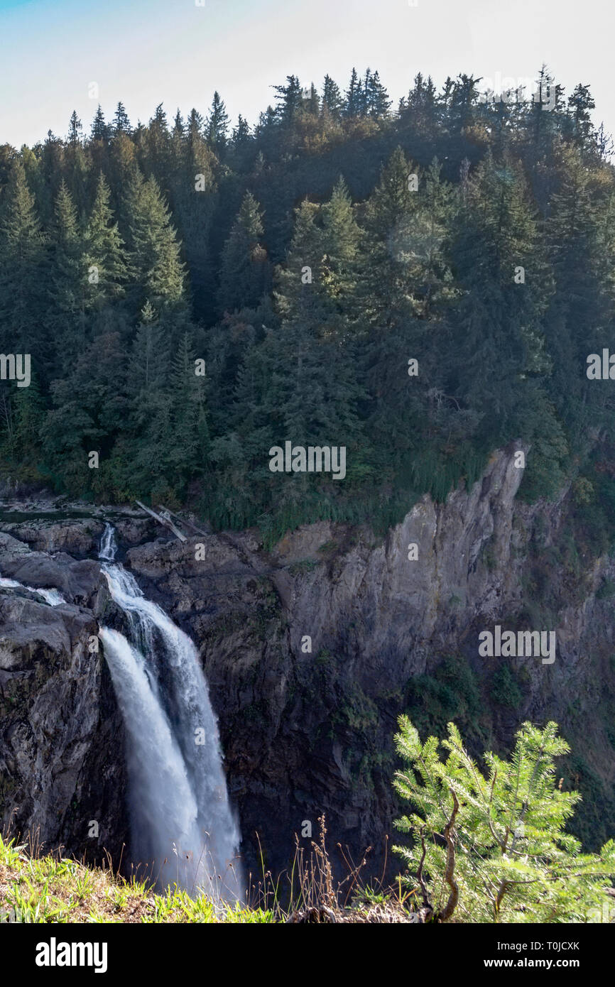Snoqualmie cade Visto dall alto angolo con evergreen pini, verticale. Foto Stock