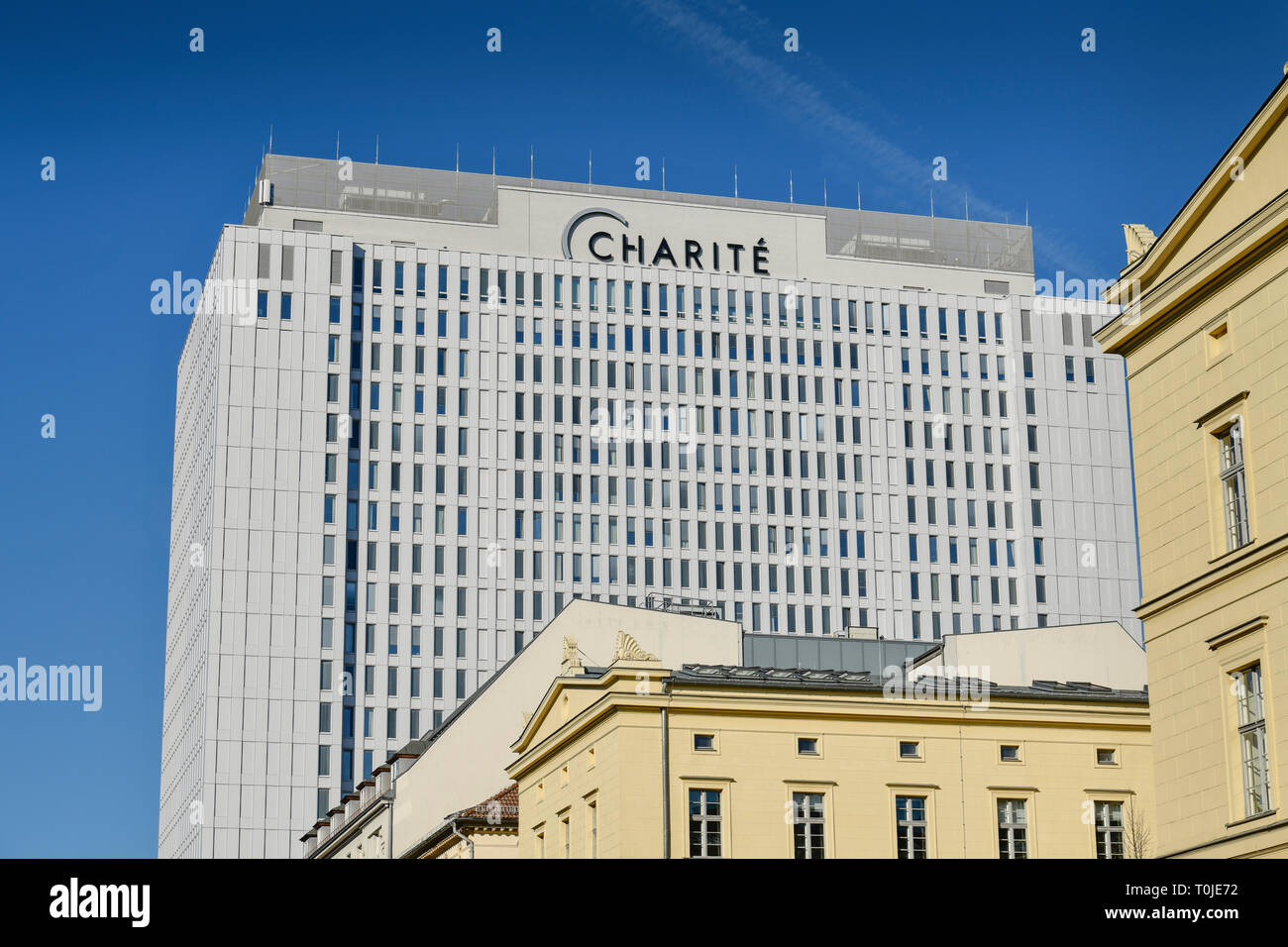 Charite, letto alto, Luisenstrasse, medio, Berlino, Germania, Bettenhochhaus, Mitte, Deutschland Foto Stock